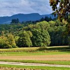 Herbst Impressionen auf dem Land