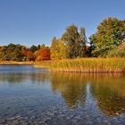 Herbst Impressionen aus dem Britzer Garten.....