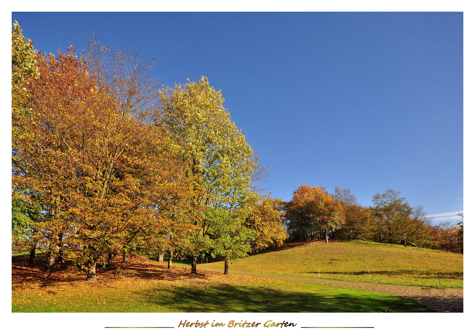 Herbst Impressionen aus dem Britzer Garten....