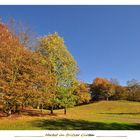 Herbst Impressionen aus dem Britzer Garten....