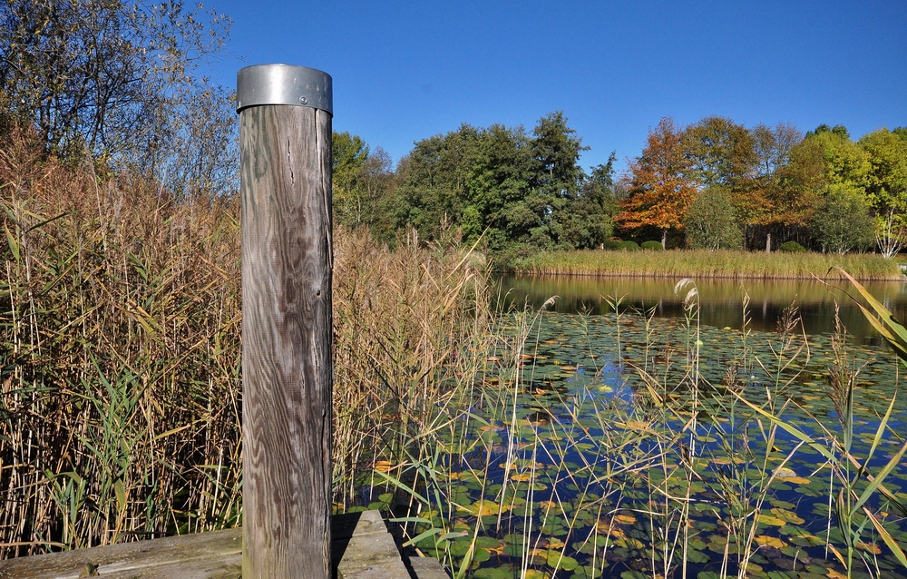 Herbst Impressionen aus dem Britzer Garten....