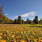Herbst Impressionen aus dem Britzer Garten.........