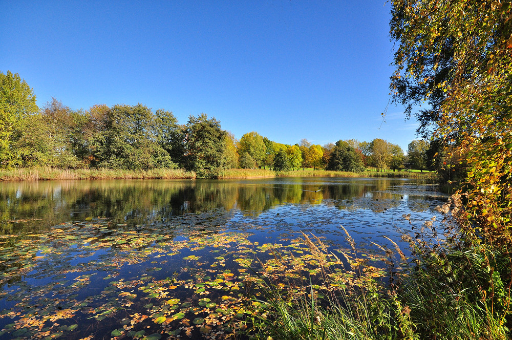 Herbst Impressionen aus dem Britzer Garten......