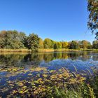 Herbst Impressionen aus dem Britzer Garten......