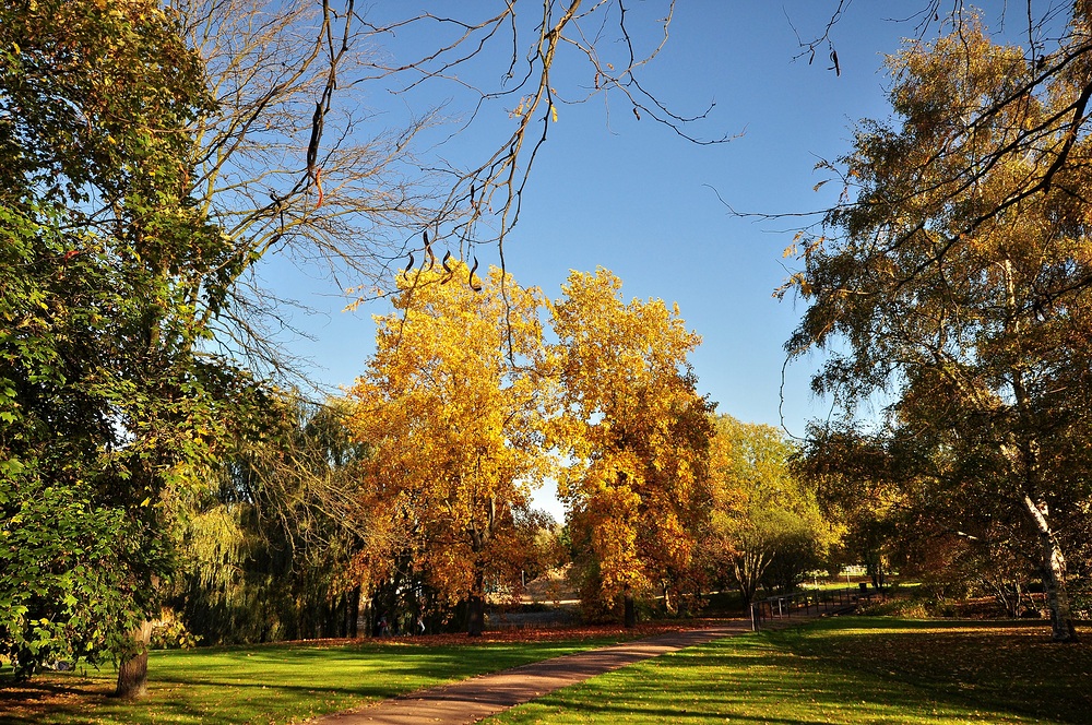 Herbst Impressionen aus dem Britzer Garten.......