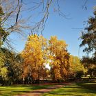 Herbst Impressionen aus dem Britzer Garten.......