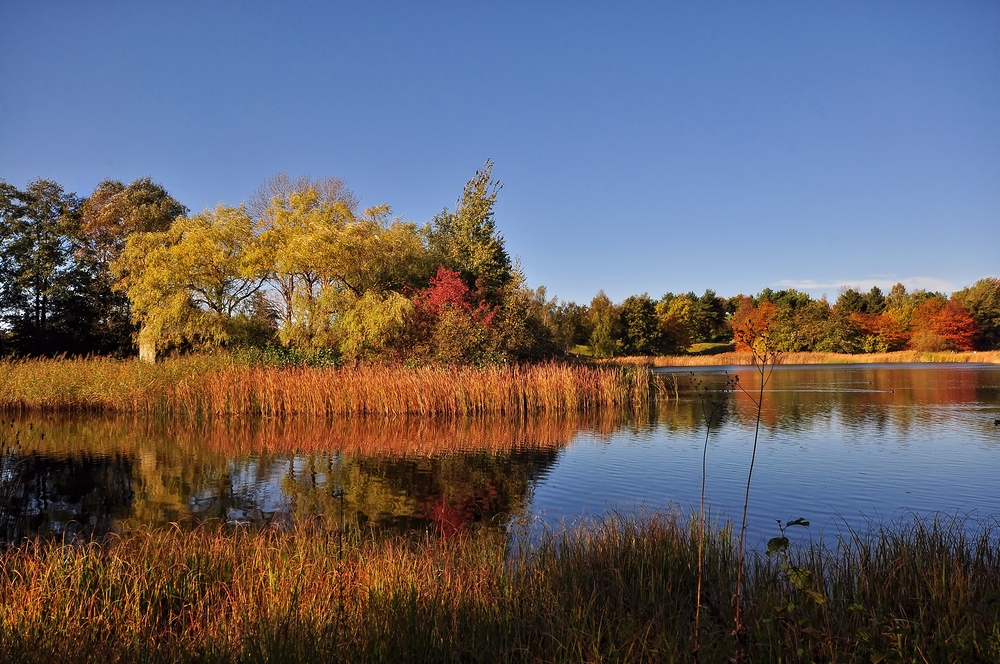 Herbst Impressionen aus dem Britzer Garten.....