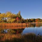 Herbst Impressionen aus dem Britzer Garten.....