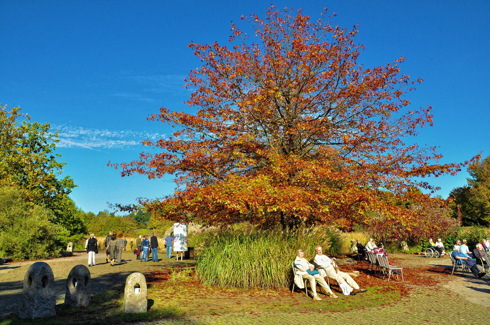 Herbst Impressionen aus dem Britzer Garten........