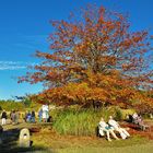 Herbst Impressionen aus dem Britzer Garten........