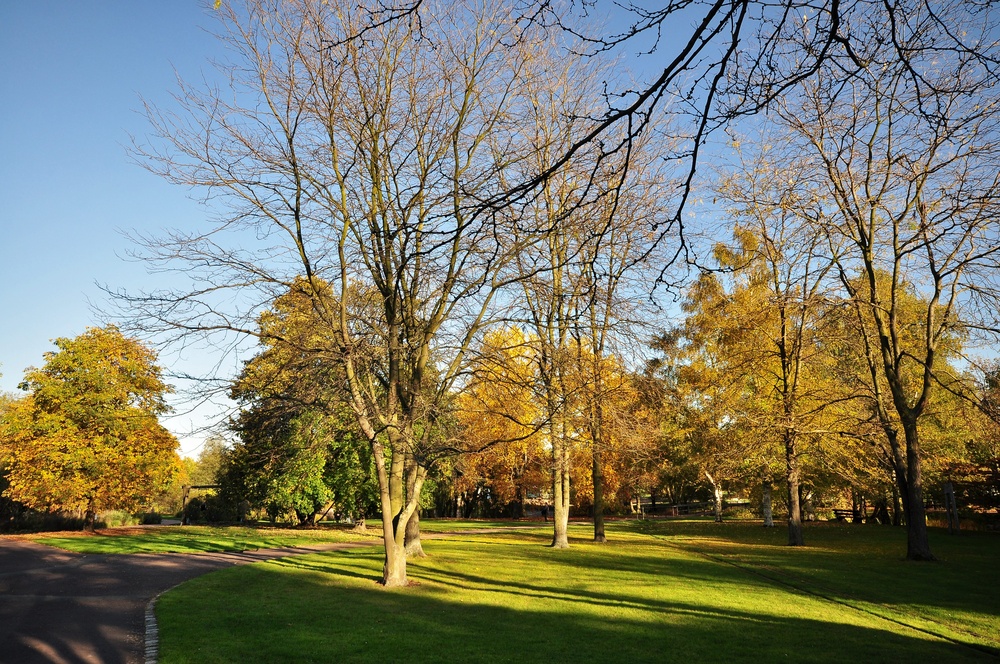 Herbst Impressionen aus dem Britzer Garten.......