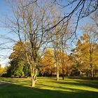 Herbst Impressionen aus dem Britzer Garten.......