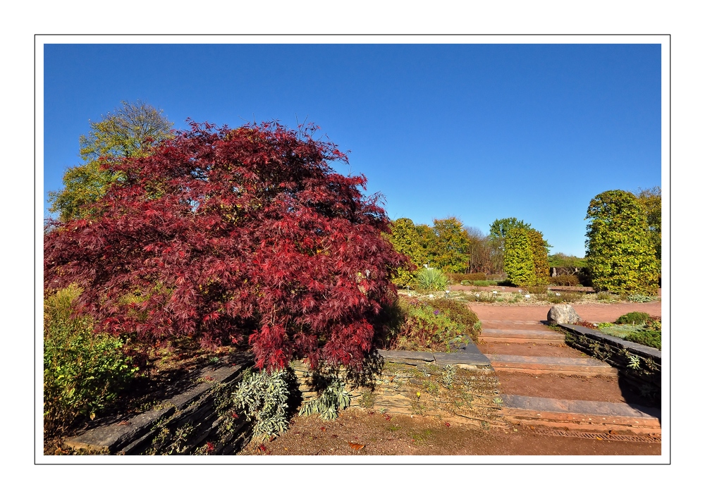 Herbst Impressionen aus dem Britzer Garten........