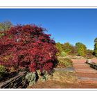 Herbst Impressionen aus dem Britzer Garten........