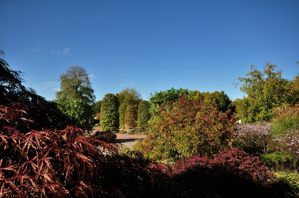 Herbst Impressionen aus dem Britzer Garten....