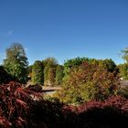 Herbst Impressionen aus dem Britzer Garten....