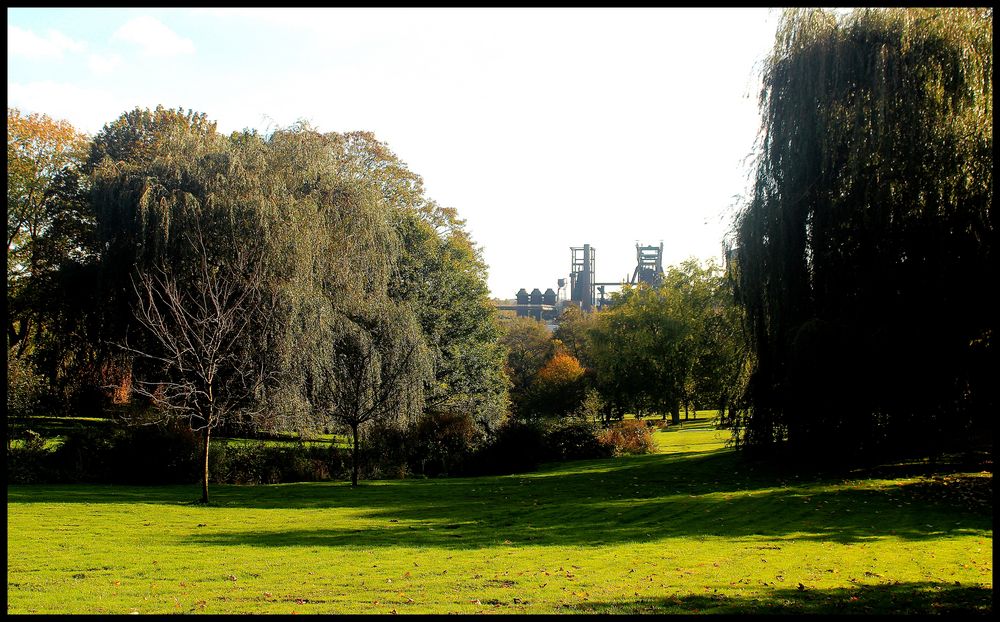 Herbst Impressionen aus dem Westfalenpark Dortmund Teil 2