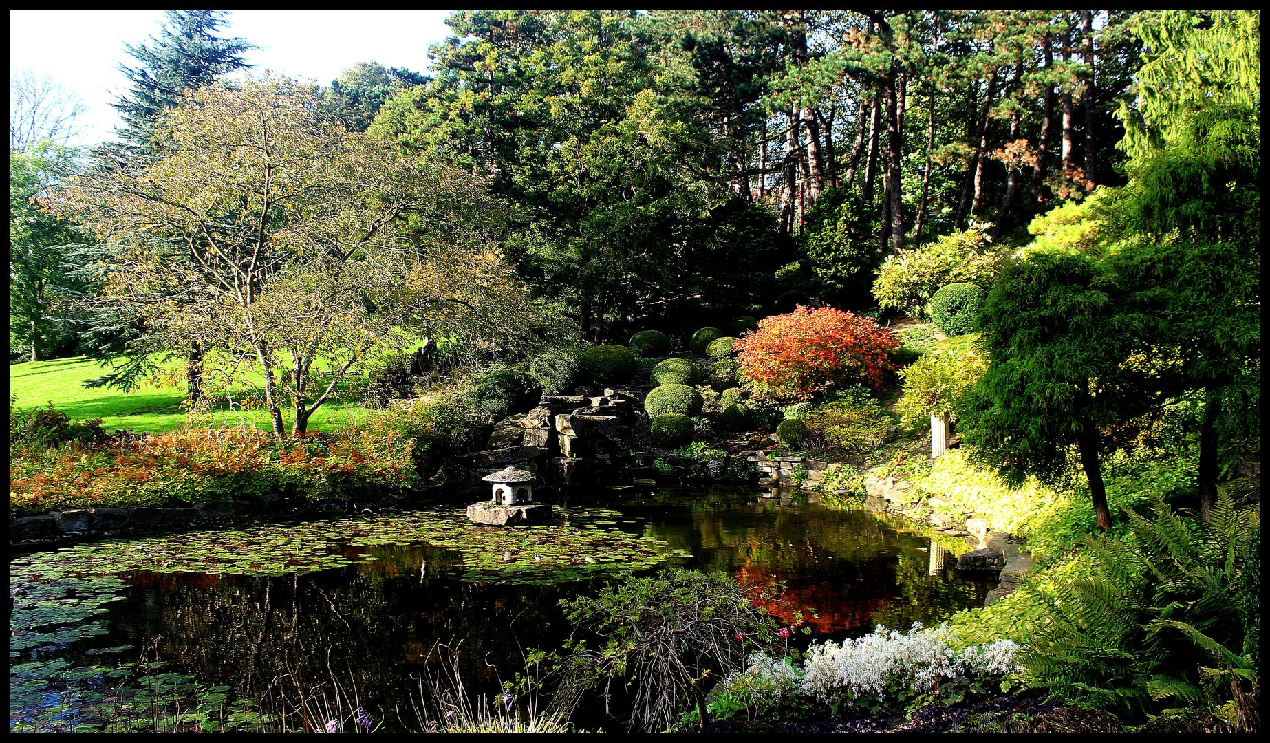 Herbst Impressionen aus dem Westfalenpark Dortmund Teil 3