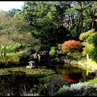 Herbst Impressionen aus dem Westfalenpark Dortmund Teil 3