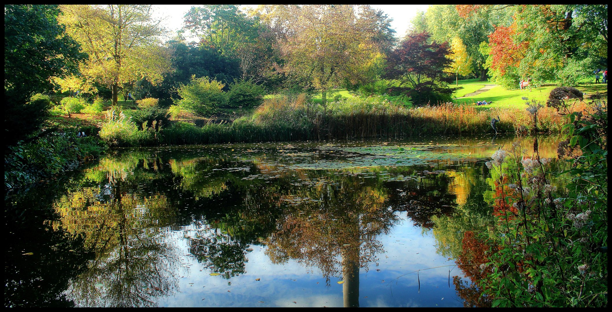 Herbst Impressionen aus dem Westfalenpark Dortmund Teil 4