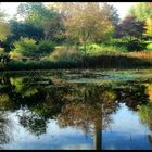 Herbst Impressionen aus dem Westfalenpark Dortmund Teil 4