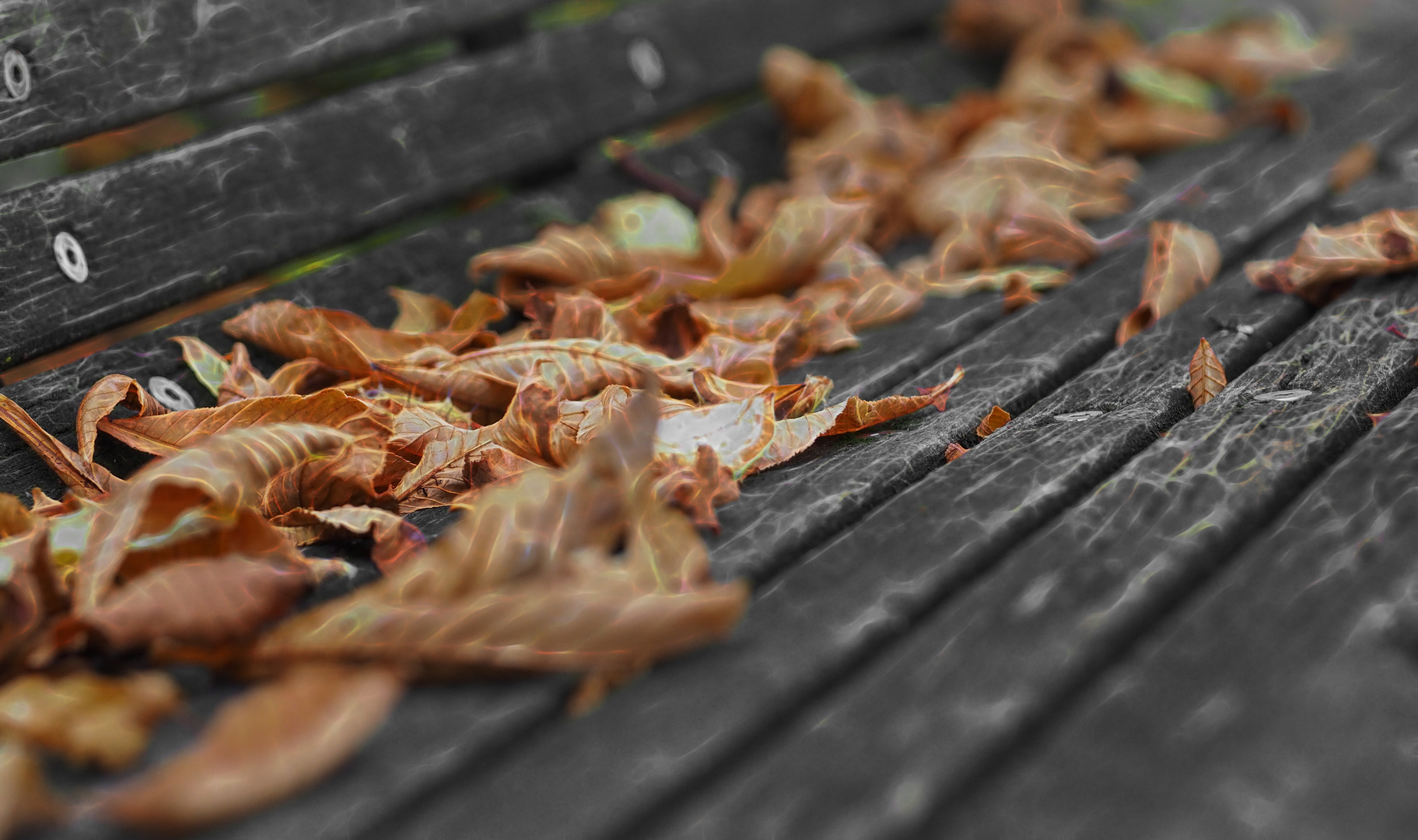 ... Herbst-Impressionen      