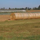 Herbst Impressionen 