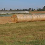 Herbst Impressionen 