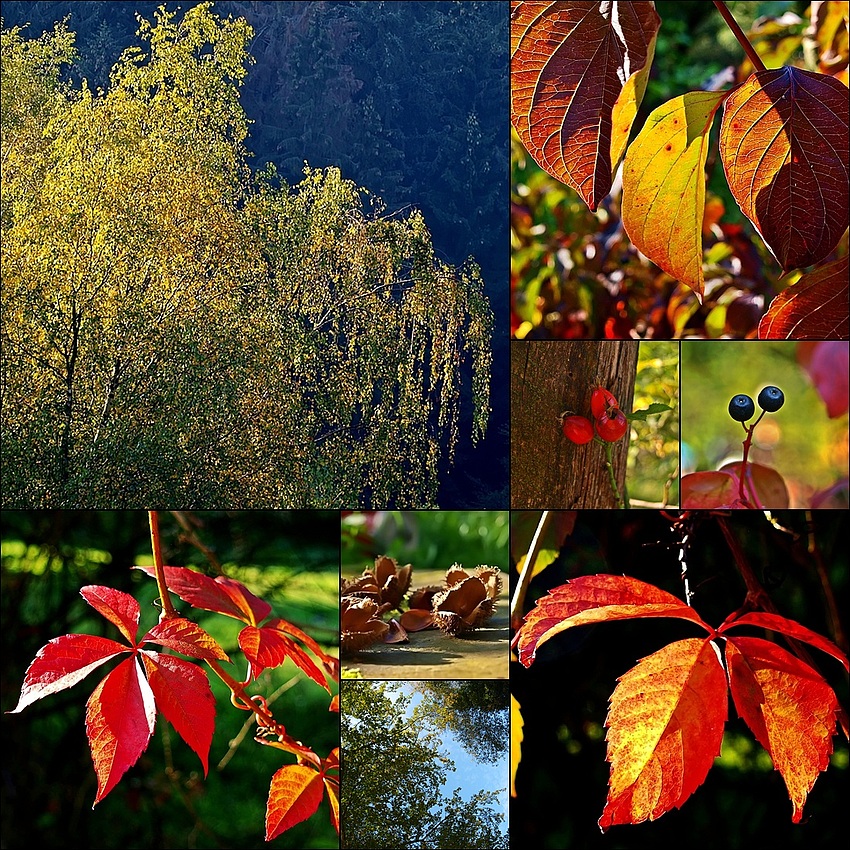 Herbst-Impressionen