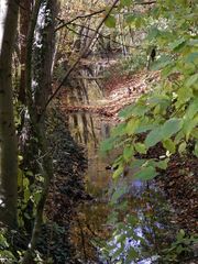 Herbst-Impressionen: Der Gievenbach in Münster