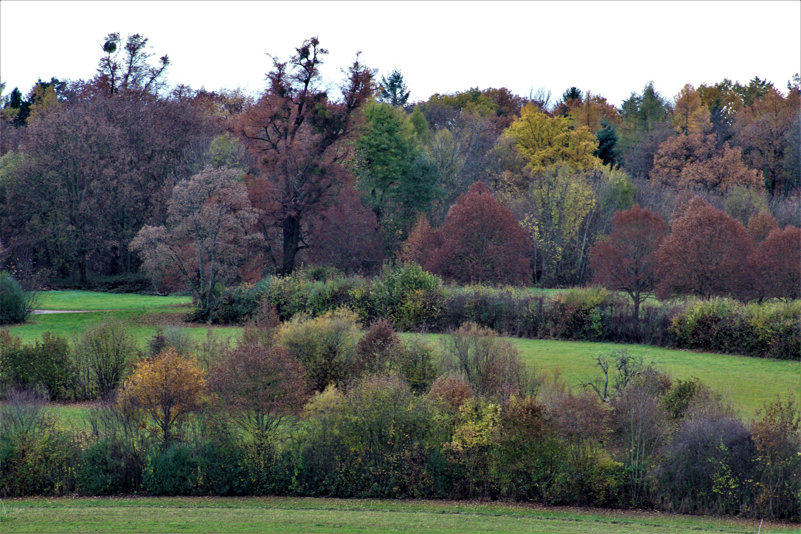 Herbst Impressionen 