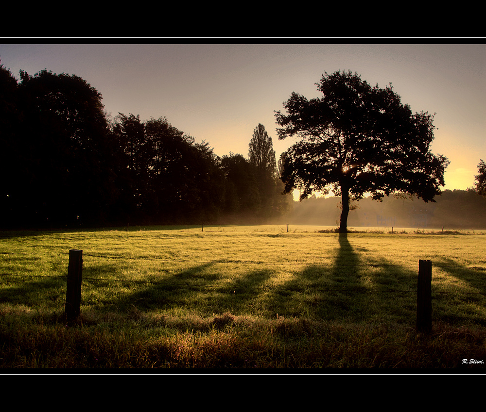 Herbst Impressionen