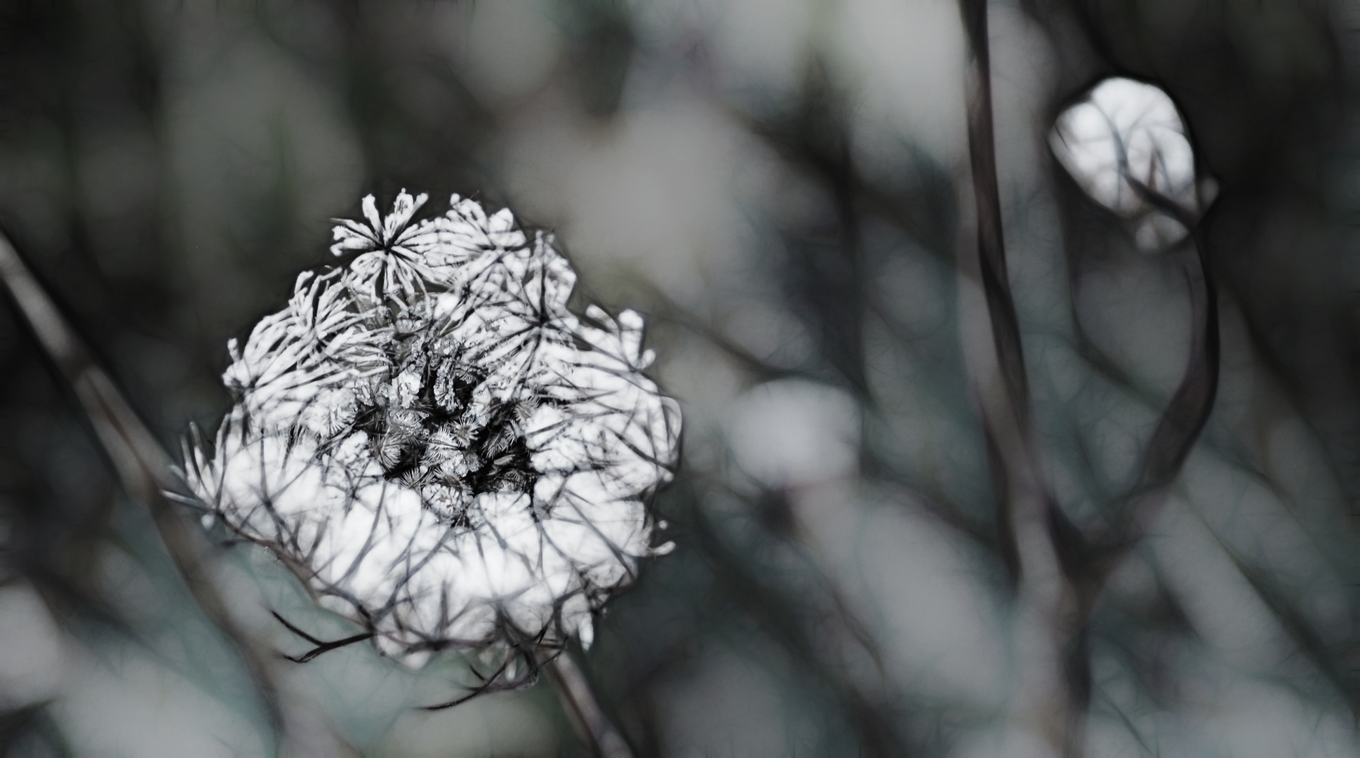 ... Herbst-Impressionen            