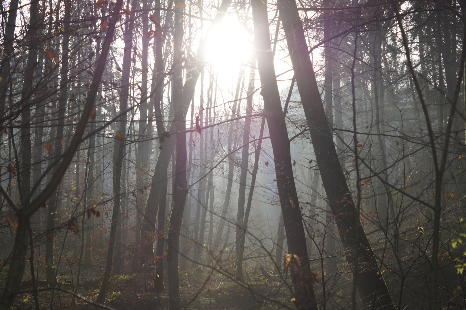 Herbst Impressionen