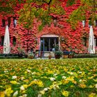 Herbst Impressionen I