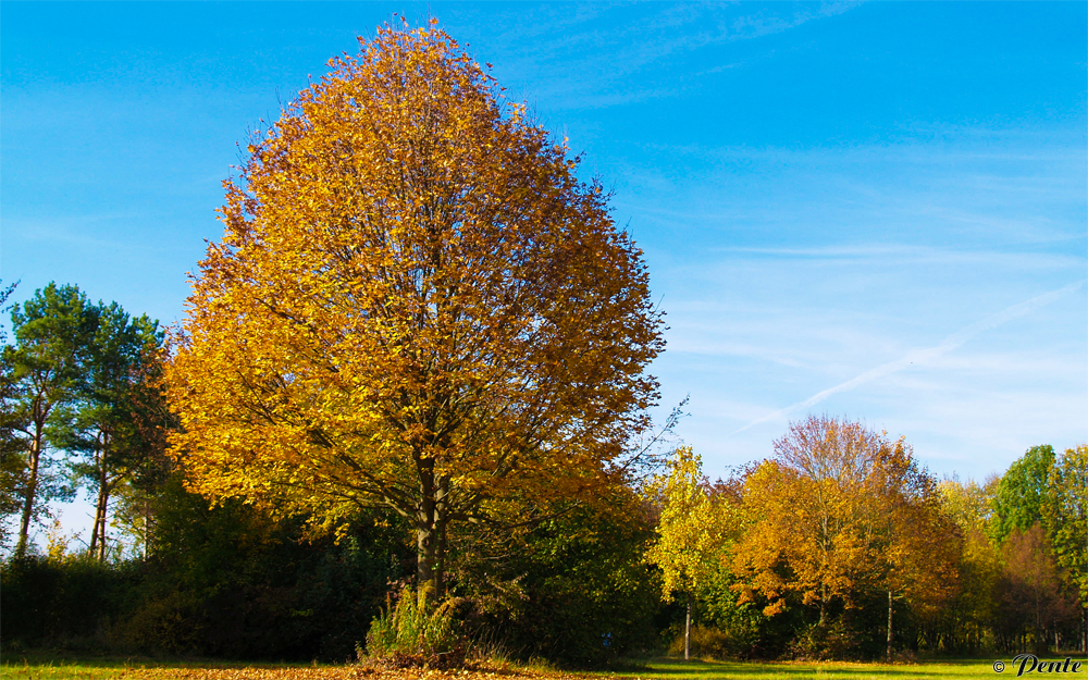 Herbst-Impressionen II