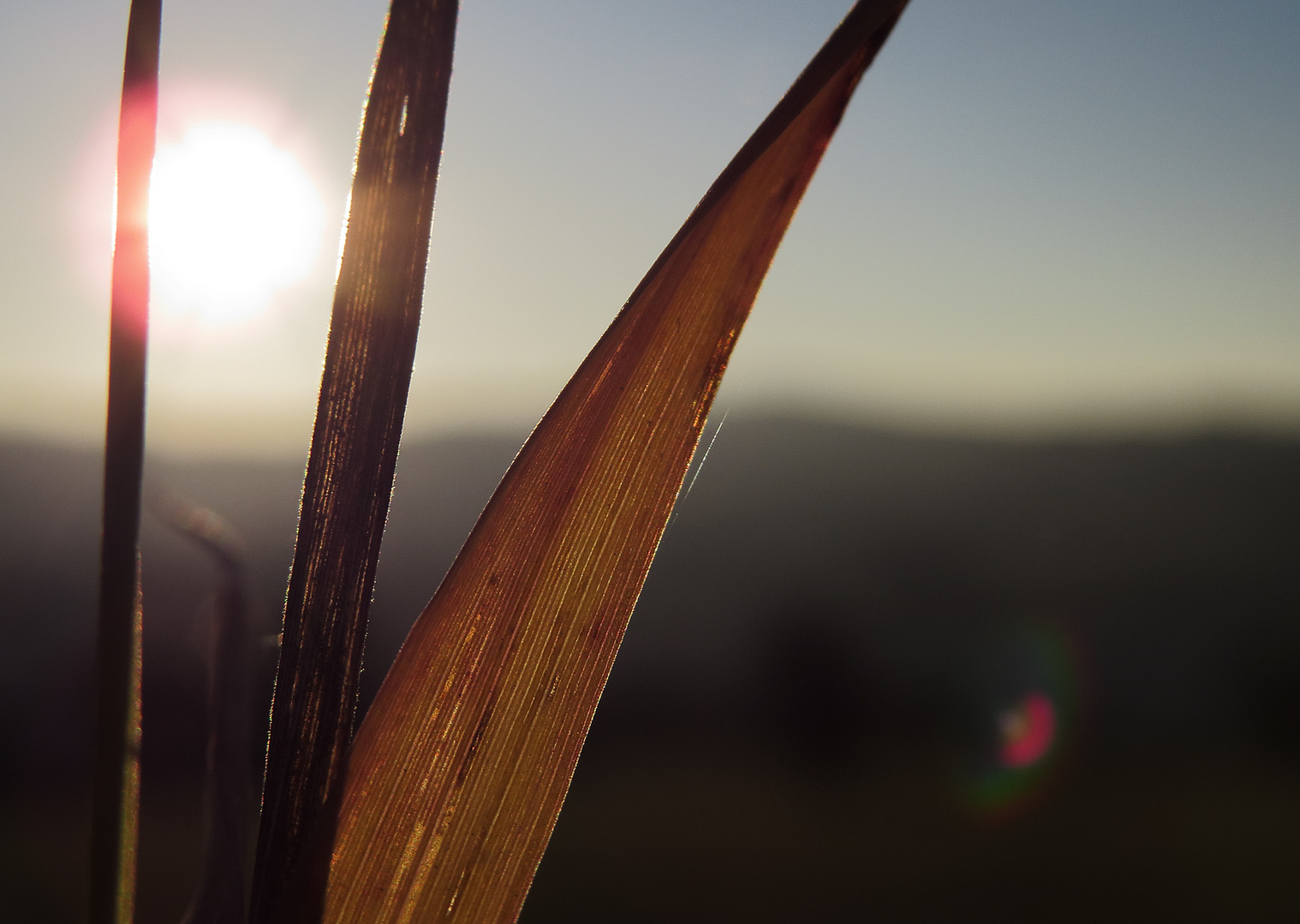 Herbst Impressionen III