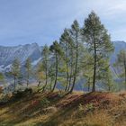 Herbst Impressionen im Lötschental