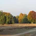 Herbst-Impressionen in der Heise