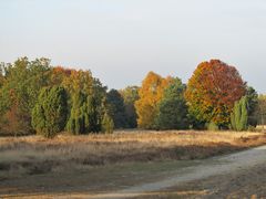 Herbst-Impressionen in der Heise