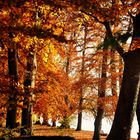 Herbst Impressionen in der Natur 13