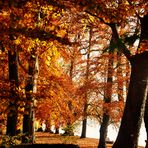 Herbst Impressionen in der Natur 13