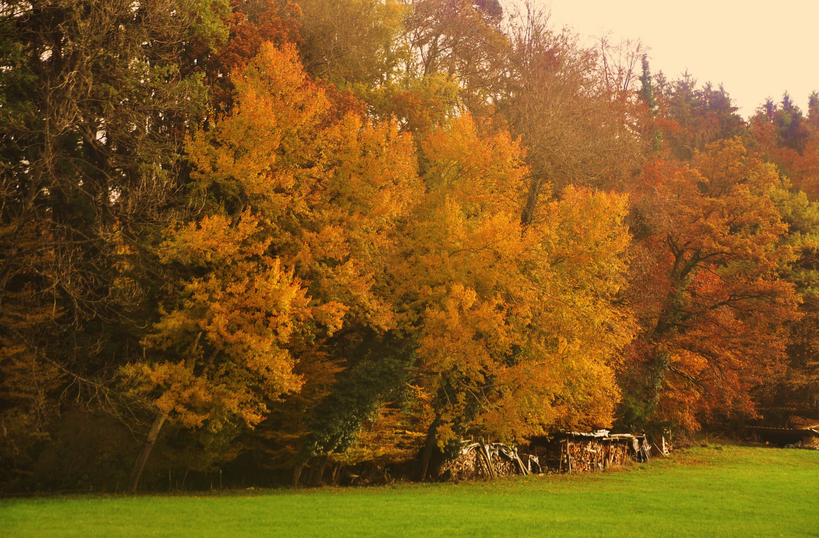 Herbst Impressionen in der Natur 15