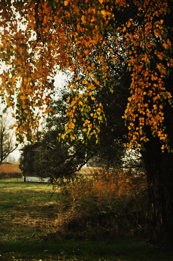 Herbst Impressionen in der Natur 18