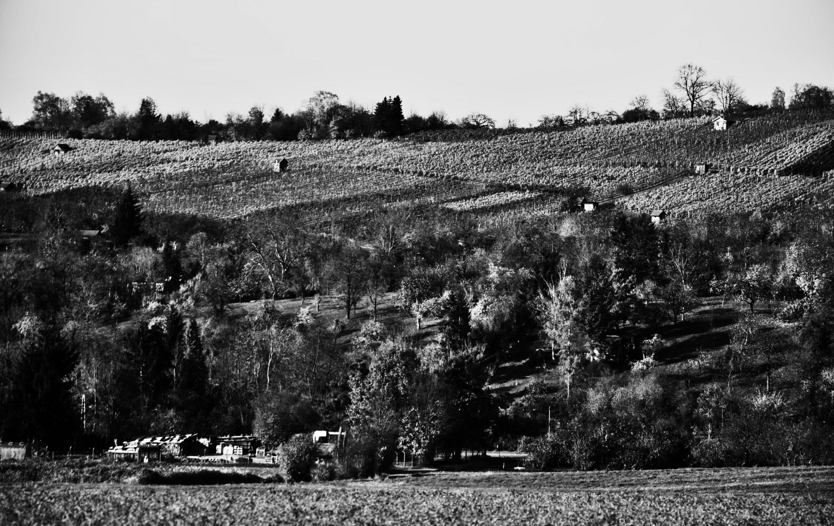 Herbst Impressionen in der Natur 20