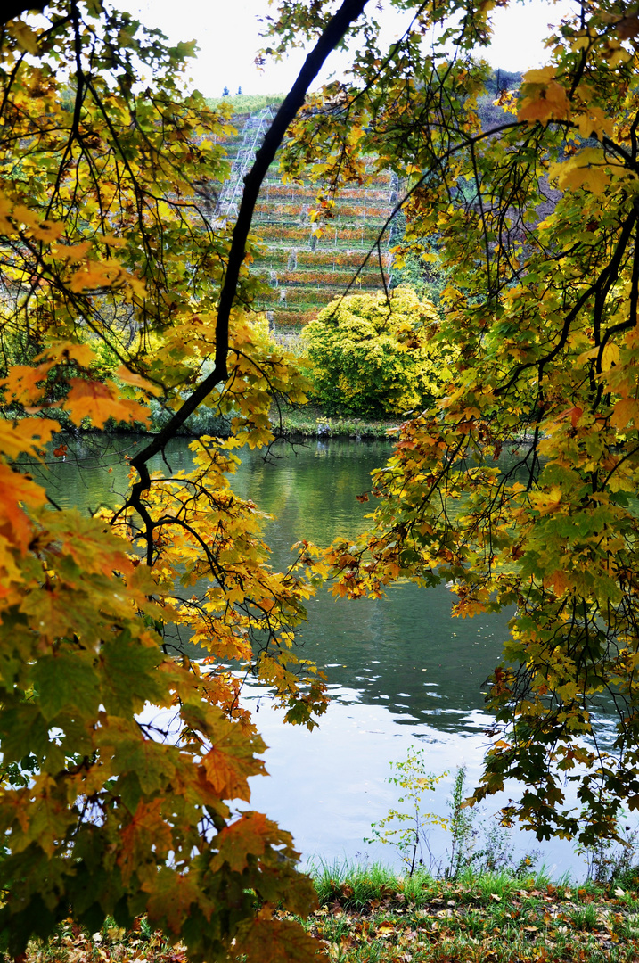 Herbst Impressionen in der Natur 4