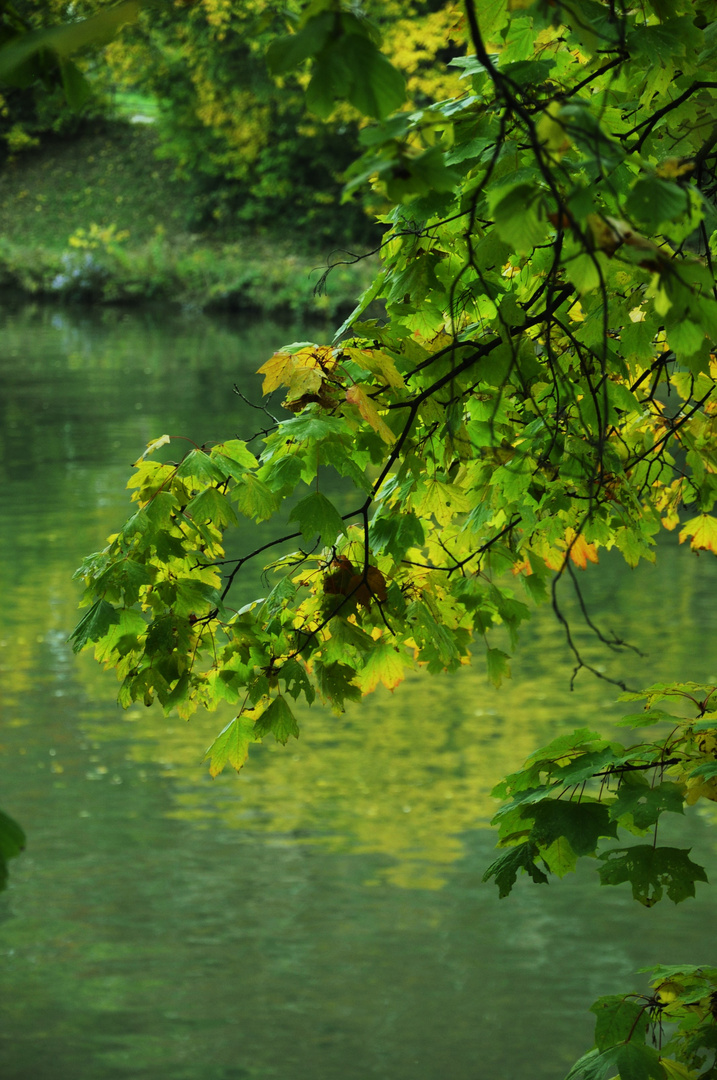 Herbst Impressionen in der Natur 5