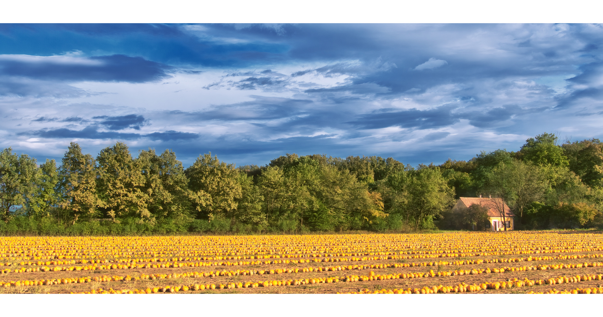 Herbst-Impressionen in der Südsteiermark 