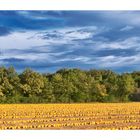 Herbst-Impressionen in der Südsteiermark 