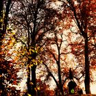 Herbst Impressionen in Marbach 22